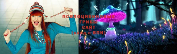 эйфоретик Бородино