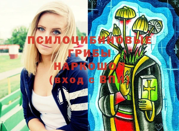 эйфоретик Бородино