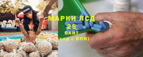 эйфоретик Бородино