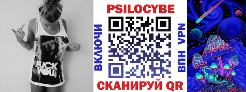 это как зайти  Элиста  Псилоцибиновые грибы Psilocybe 